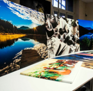 Искусство в деталях: технологии и тренды интерьерной печати