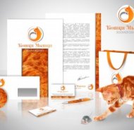 Фирменный стиль (основные элементы и разработка)